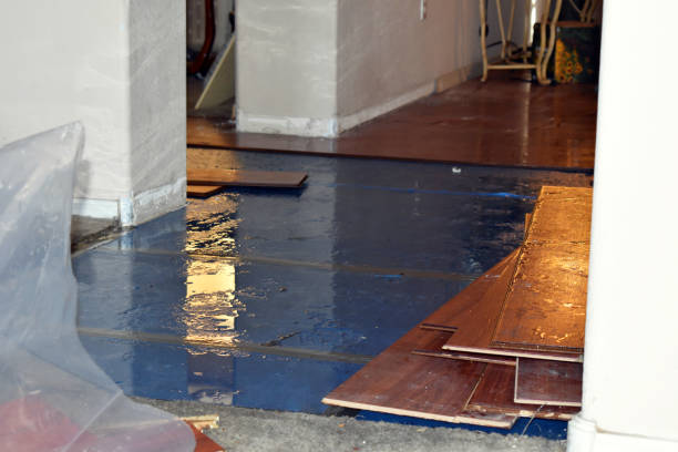Professional Water Damage Restoration technician working in Clarksville, AR